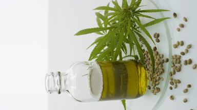 Vertical shot of hemp sprig, hemp seeds and bottle with hemp oil