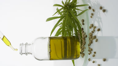 Drop drips from dropper into bottle with hemp oil on watch glass