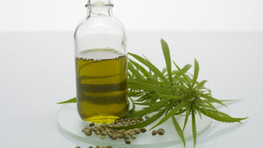 Extreme close-up of hemp sprig, hemp seeds and bottle with oil