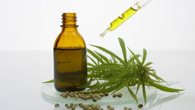 Hemp sprig, seeds on glass, brown bottle and dropper with oil