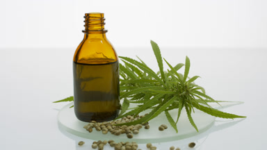 Hemp sprig, seeds, brown bottle with oil on watch glass round