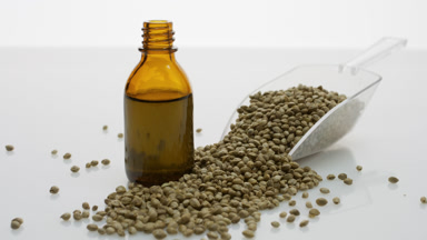Large plastic scoop with hemp seeds and brown bottle with oil