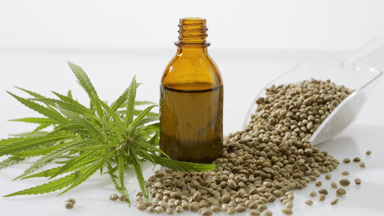 Scoop with hemp seeds, brown bottle with hemp oil and hemp sprig
