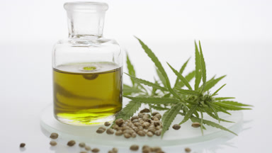 Drop falls in hemp oil bottle near hemp sprig and seeds on glass
