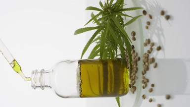 Dropper drips oil into bottle near hemp seeds and sprig on glass