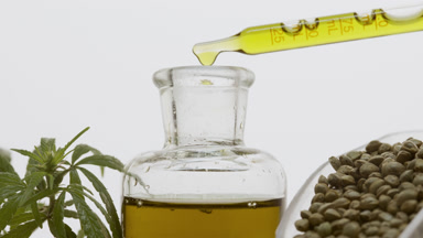 Pipette drips oil in bottle near hemp sprig and scoop with seeds