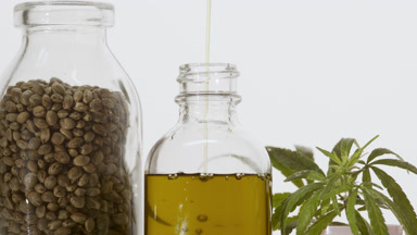 Hemp oil is pouring in bottle near hemp sprig and jar with seeds
