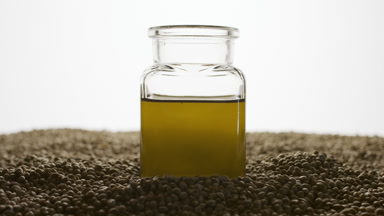 Reagent bottle with hemp oil on hemp seeds on grey background