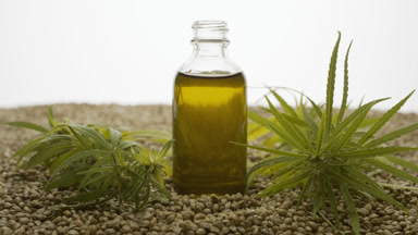 Reagent bottle with hemp oil near hemp sprig on hemp seeds