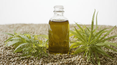 Reagent bottle with cannabidiol near hemp sprig on hemp seeds