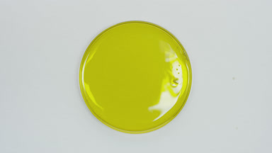 Big close-up of yellow oil in Petri dish on grey background