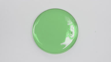 Big close-up of green oil in Petri dish on grey background