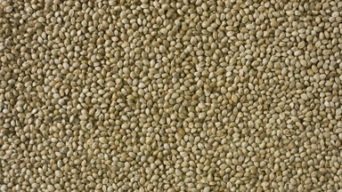 Top view extreme close-up turntable of hemp seeds background