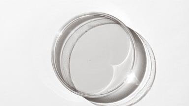 Grey gel on watch glass is covered by shadow on white background