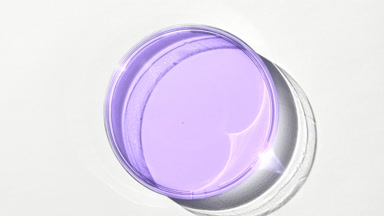 Purple gel on glass is covered by shadow on white background
