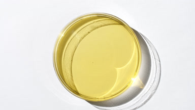 Yellow gel on watch glass is covered by shadow on white background