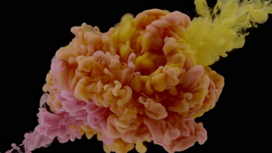 Yellow and pink inks being injected in water from corners mixing