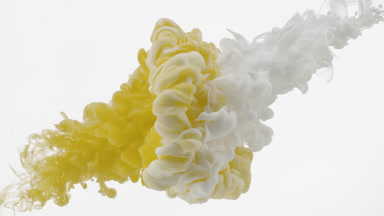 Yellow and white inks are injected in water on white background