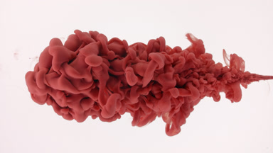 Macro of red ink is being injected in water on white background