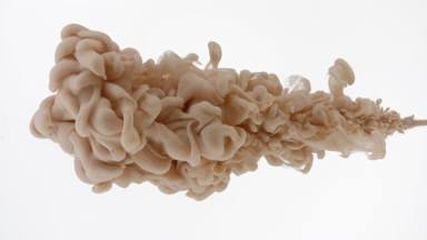 Macro of beige ink is injected in water on white background