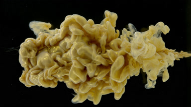 Macro shot of gold ink is being injected in water flows back