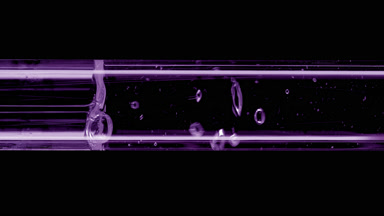 Water is being poured into purple test tube on black background
