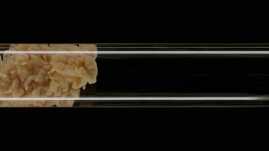 Macro of beige ink flows inside test tube with water filling it