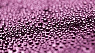 Water drops appear from shadow for a while on purple background