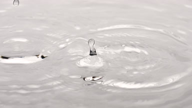 Drops drip on water surface creating circles on grey background