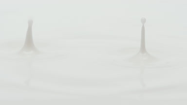White liquid is dripped creating ripples on white background