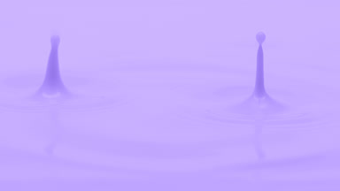 Violet liquid is dripped creating ripples on violet background
