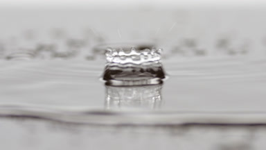 Drops fall down on big rippling one splashing on grey background