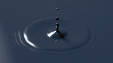 Drop drips on black opaque liquid creating concentric circles