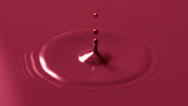 Drop drips on red opaque liquid creating concentric circles
