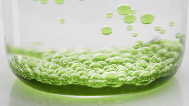Green transparent bubbles sink to bottom of beaker with water
