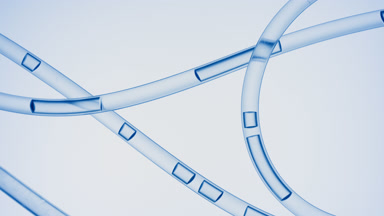 Blue liquid is flowing in connecting tubes on blue background