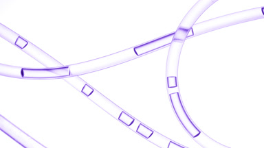Purple liquid is flowing in connecting tubes on white background