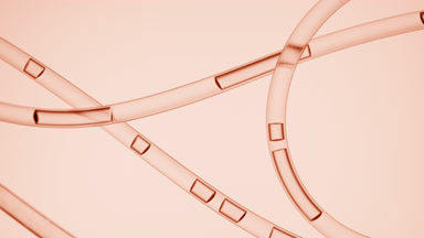 Beige liquid is flowing in connecting tubes on beige background