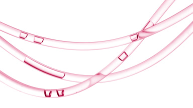 Pink fluid is flowing in connecting tubes on white background