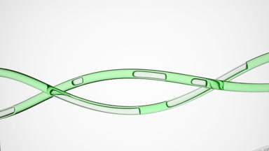 Avocado oil is flowing in two twisted lab connecting tubes