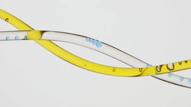 Yellow oil and water with blue bubbles flow in connecting tubes