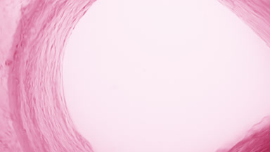 Curved water wave flows creating tunnel on pale pink background
