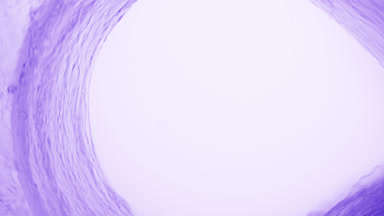 Curved water wave flows creating a tunnel on purple background