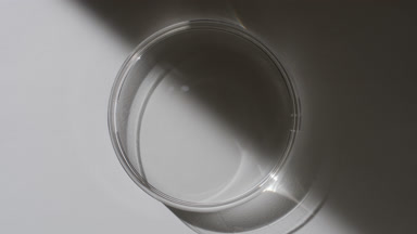 Top view of Petri dish appear from the shadow on grey background