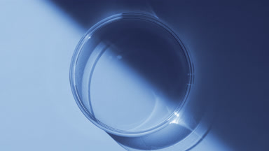 Top view of Petri dish appear from the shadow on blue background