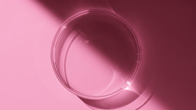 Top view of Petri dish appear from the shadow on pink background