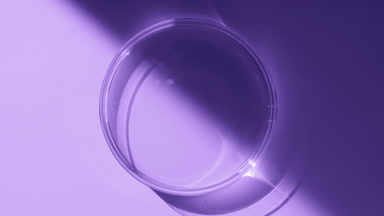 Top view of Petri dish appear from shadow on violet background