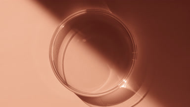 Top view of Petri dish appear from shadow on beige background