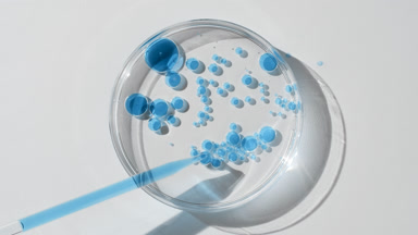 Long chemical dropper drains blue oil into Petri dish with water