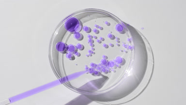 Long chemical dropper drains purple oil in Petri dish with water